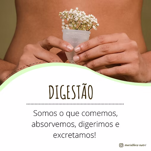 Digestão & saúde